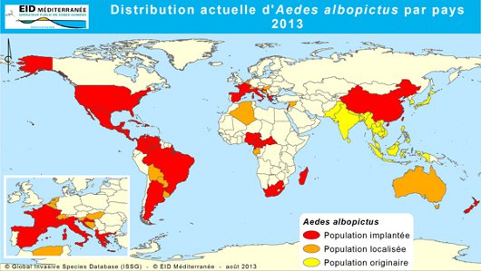 moustique tigre dans le monde