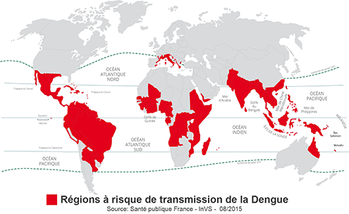 Carte moustique dengue infestee region