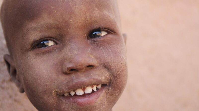 moustique africain