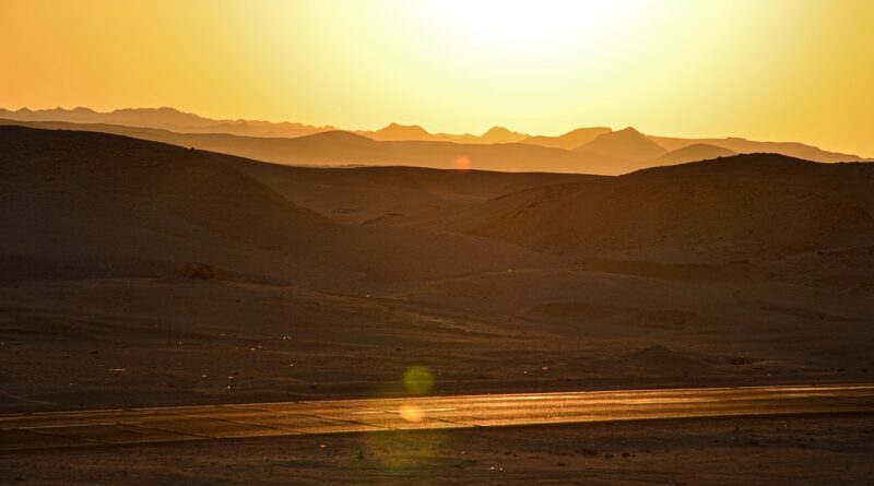moustique égypte