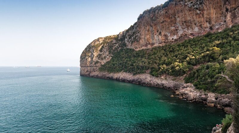 moustique algérie