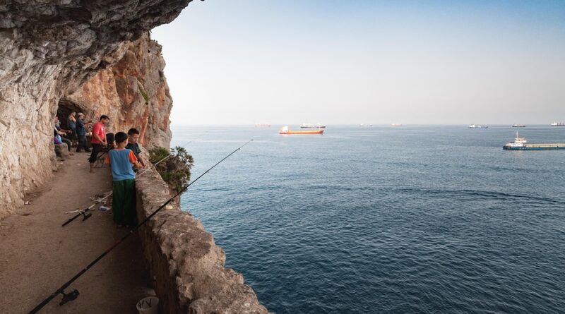 moustique algérie