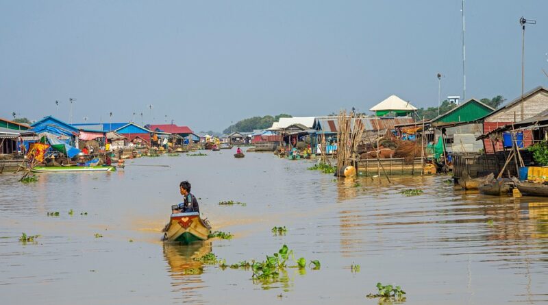 moustique cambodge