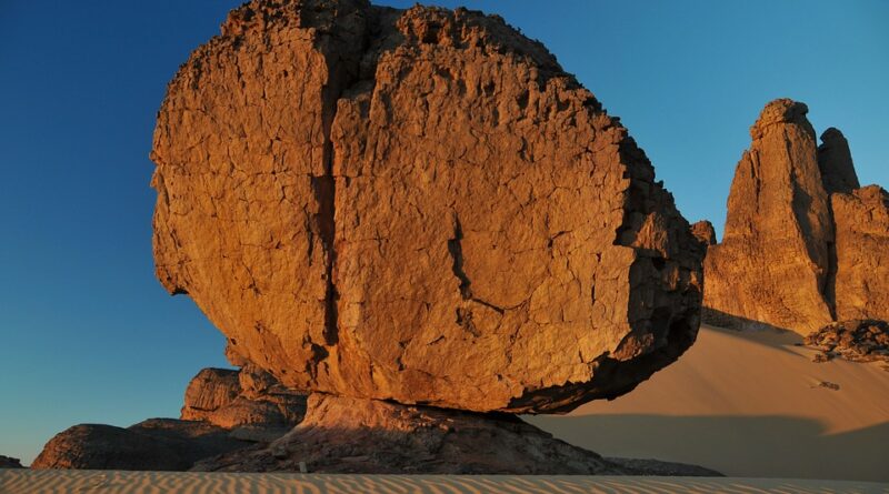 moustique algérie