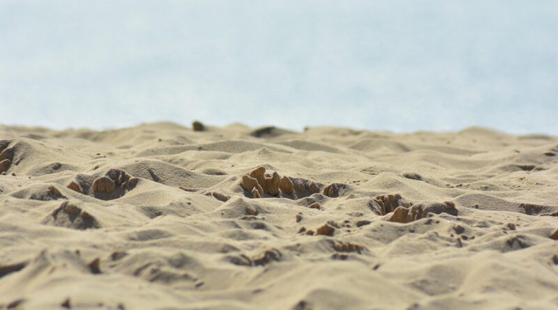 moustique plage