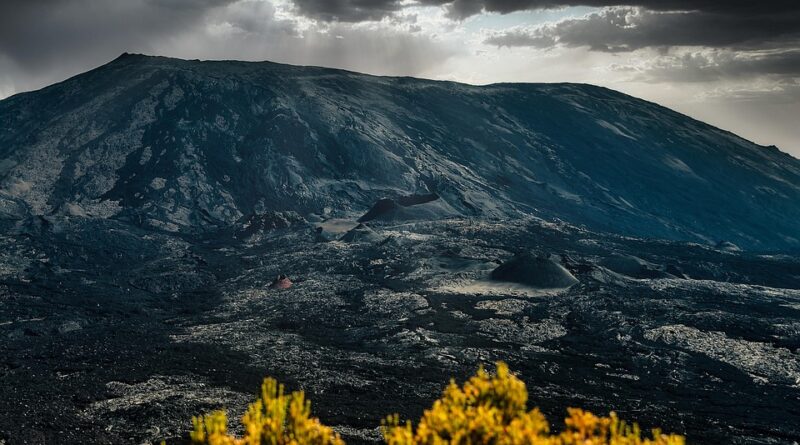 moustique ile de la réunion