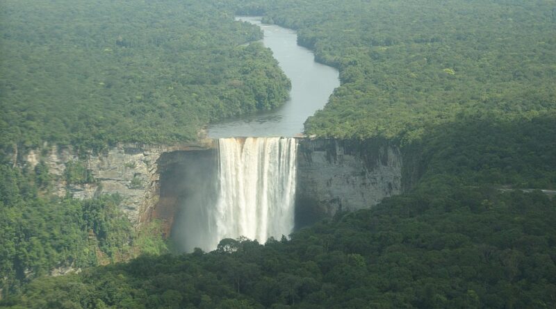 moustique guyane