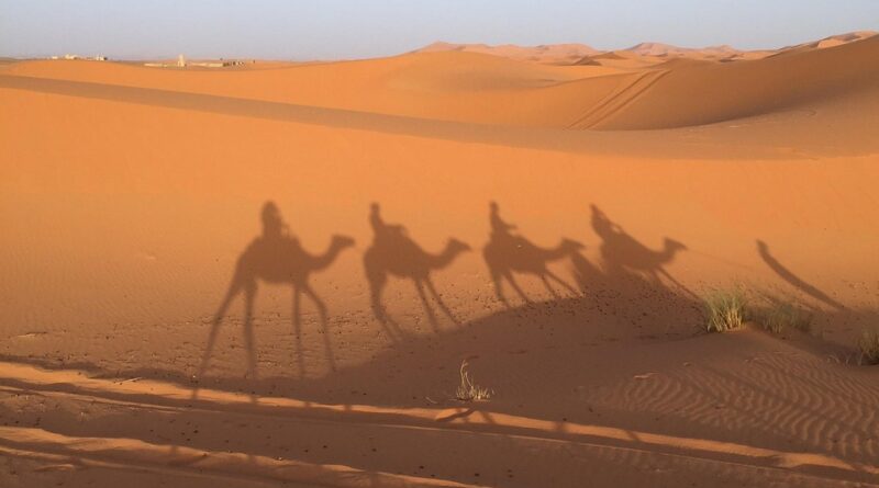 moustique maroc