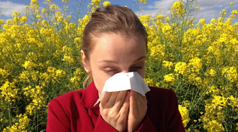 allergie moustique
