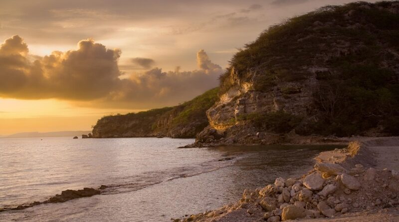 moustique antilles