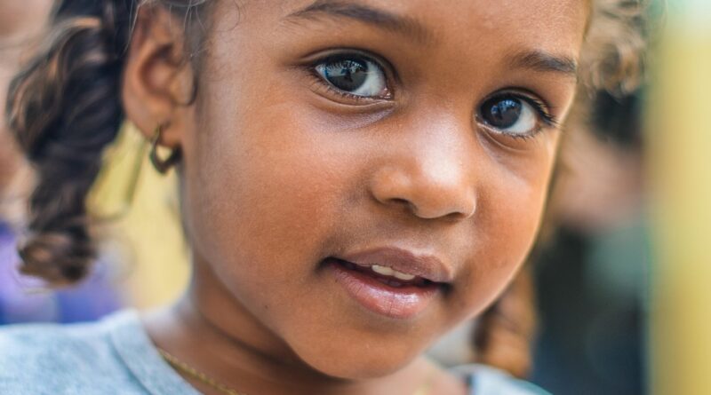 moustique africain
