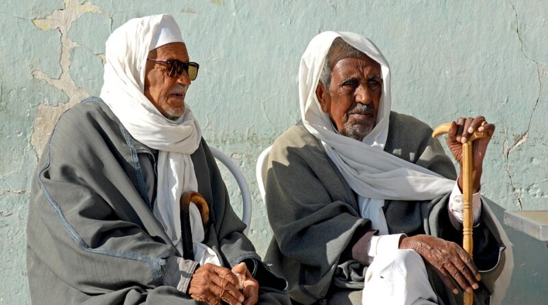 moustique tunisie