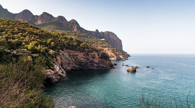moustique algérie