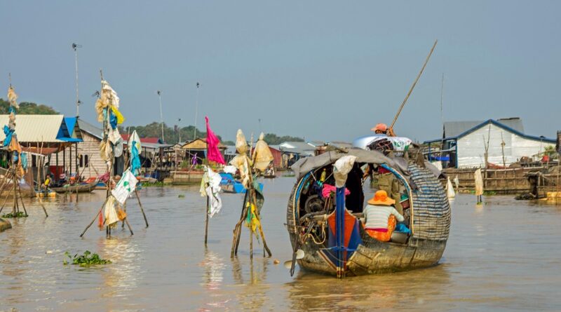 moustique cambodge