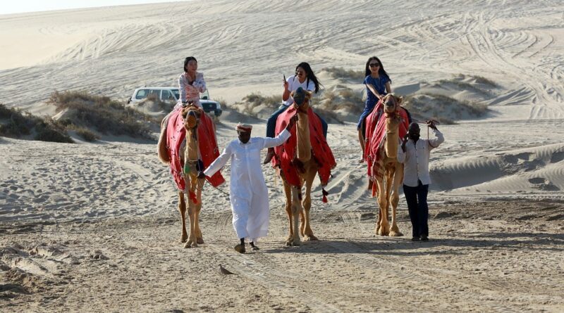 moustique qatar