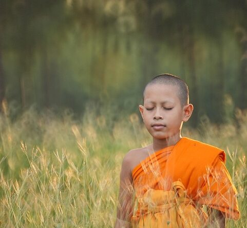moustique thailande