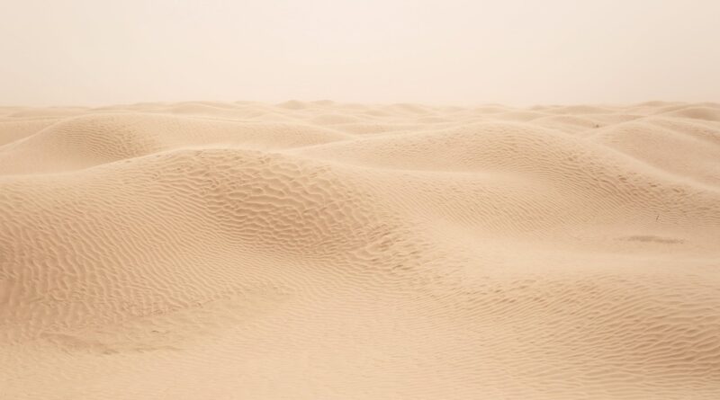 moustique sahara