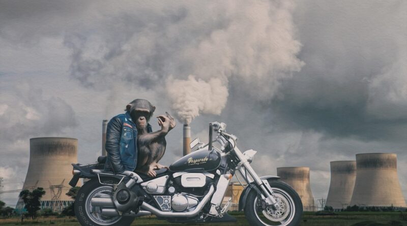 anti moustique efficace