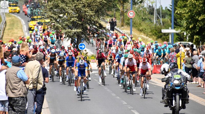 moustique sud de la france