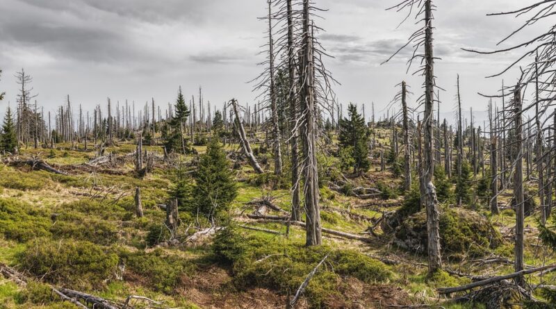 protection moustique enfant