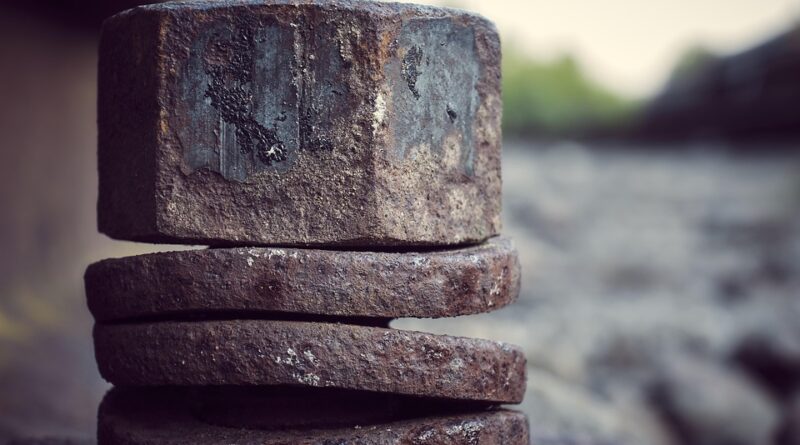 moustique résistant