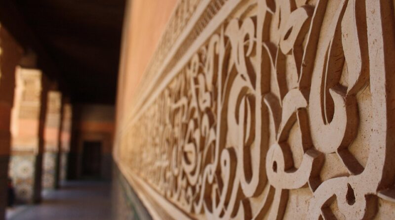 moustique marrakech