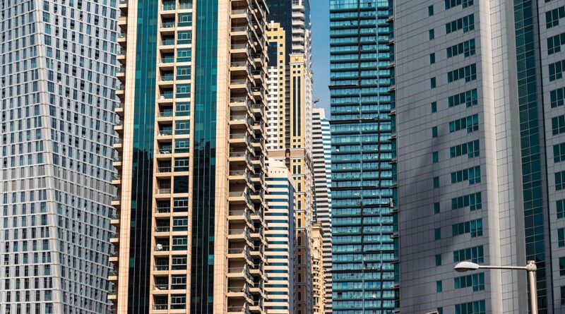 moustique dubai