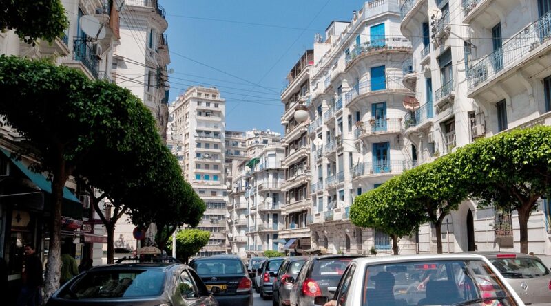 moustique algérie