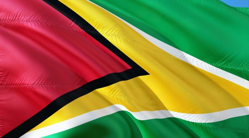 moustique guyane