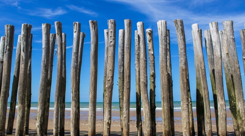 moustique plage