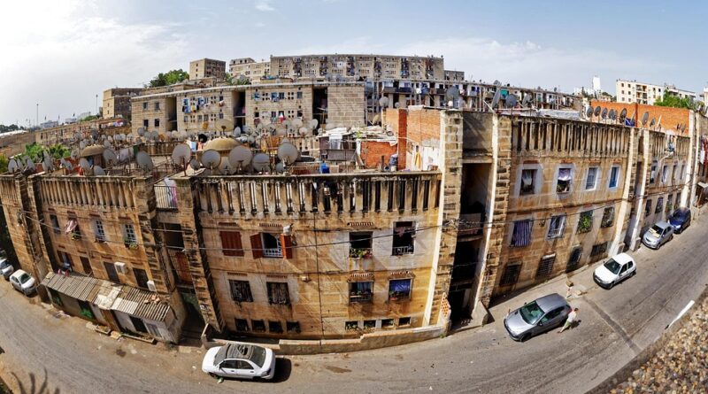 moustique algérie
