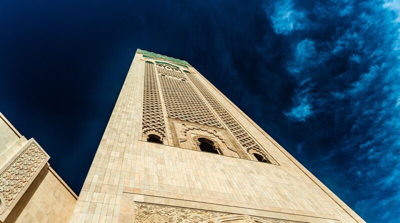 moustique maroc